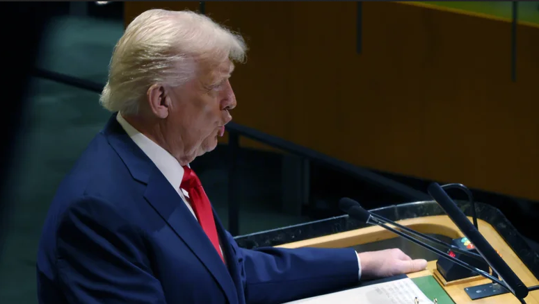 A clown giving a speech to people who are way smarter than him