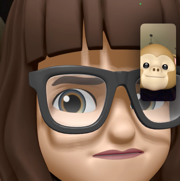 Caricatures of my wife and I on facetime