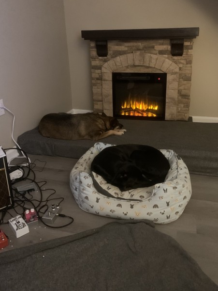 My sweetest darling puppies lying in front of a fireplace